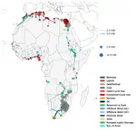 H2Global meets Africa - Erforschung von Potenzialen und Maßnahmen für einen gerechten Markthochlauf in Afrika